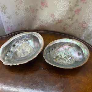 May include: Two iridescent abalone shells with a pearlescent sheen. The shells are oval-shaped and display a range of colors, including blues, greens, and purples. The shells are on a dark brown wooden surface.