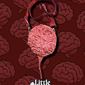 May include: A pink brain-shaped crossbody bag with a matching strap. The bag has a textured surface and is set against a maroon background with brain illustrations. The text "Hooked on Brains" is at the top.