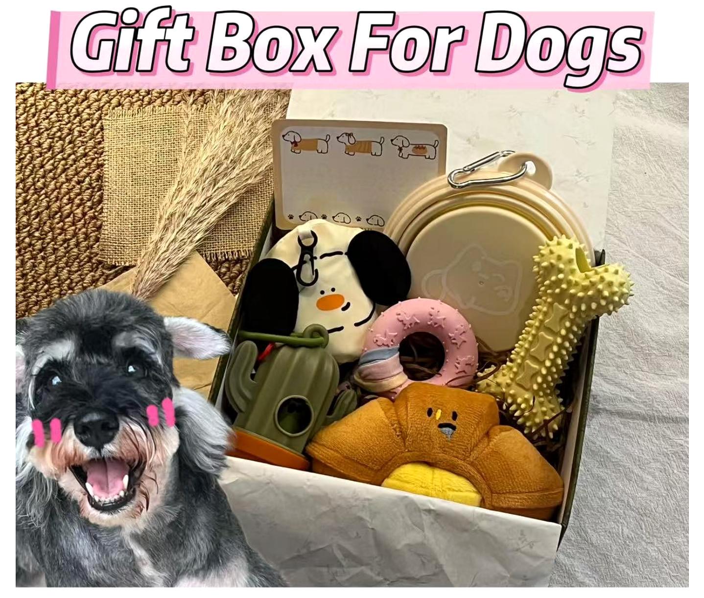 Puppy Welcome Kit Canada