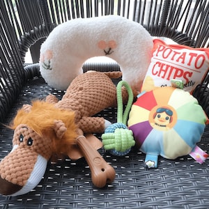 Unique Dog Toy Gift Box-2 Chew Toys,3 Squeaky Toys,Pet Pillow,Pet Sympathy Gift,Dog Essentials,Dog Birthday Gift,New Puppy Gift