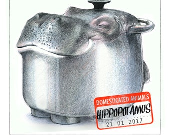 Hippopotamus