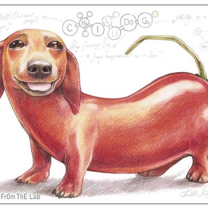 Chillidog