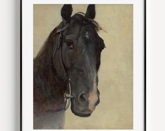 Vintage Black Horse Portrait Print: Farmhouse Equestrian Art (Digital Download) #193