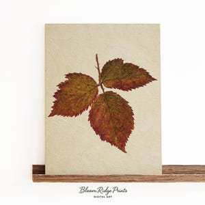 Autumn Leaf Botanical Print Vertical | Vintage Nature Illustration | Fall Foliage Art Digital Download | Rustic Botanical Home Decor | #256