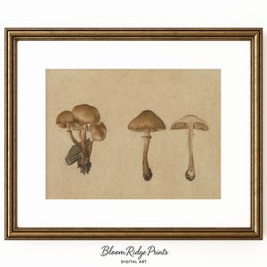 Vintage Mushroom Print: Botanical Art, Cottagecore Kitchen Decor (Digital Download) #232