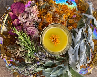 Organic Herbal Infused Super Salve // Large 4 ounce Size