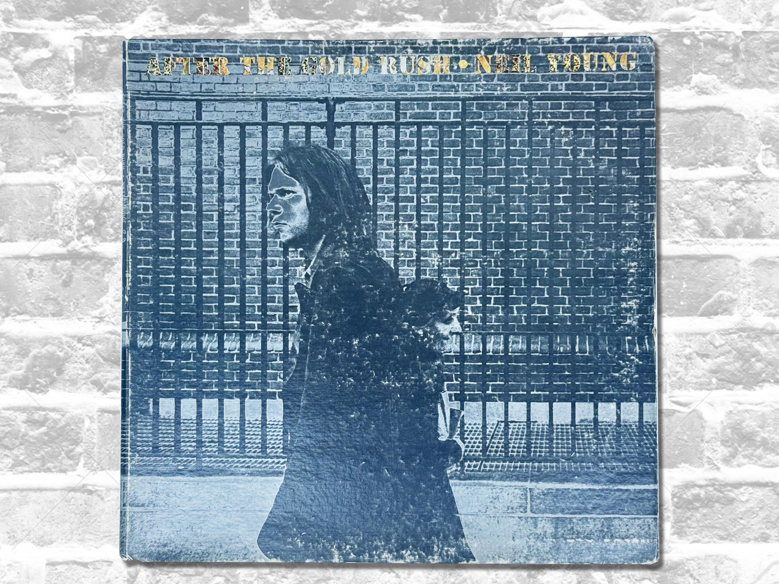 Neil Young - After the Gold Rush Vinyl LP - 70's Island Pressing