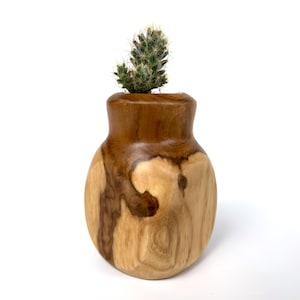 May include: A small, handcrafted wooden vase with a light brown and dark brown wood grain pattern. The vase holds a small green cactus with spiky needles. The vase has a rounded body and a narrow neck.