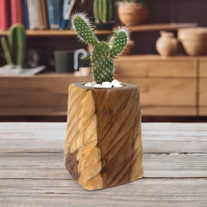 May include: A small cactus with white spines in a carved wooden planter. The planter is a mix of light and dark brown wood tones, with a textured, diagonal pattern. White pebbles surround the base of the cactus.