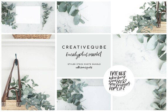Eucalyptus Market Stock Photo Bundle Market Basket Farmhouse Style