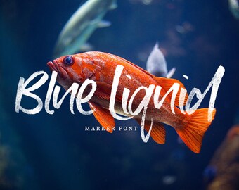 Brush Font, Marker Font, Digital Fonts, Wedding Font, Display Font, Textured Font, Digital Download, Blue Liquid, SALE