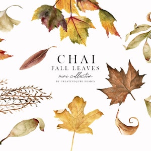 May include: A collection of watercolour illustrations of autumn leaves in various shades of brown, yellow, red, and orange. The leaves are arranged in a scattered pattern on a white background. The text "CHAI FALL LEAVES mini collection BY CREATIVEQURE DESIGN" is written in black text at the centre of the image.