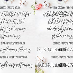 Calligraphy Font, Modern Calligraphy, Digital Fonts, Wedding Font ...