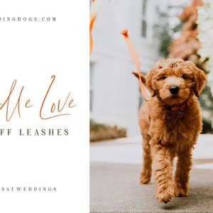 Puede incluir: Un cachorro de caniche marr&oacute;n y blanco camina por una acera con una correa. El texto "Poodle Love" est&aacute; escrito en cursiva con las palabras "10% OFF LEASHES" debajo. El hashtag "#DOGSATWEDDINGS" est&aacute; en la parte inferior de la imagen.