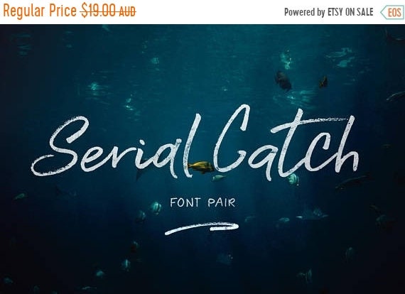 70% OFF Sale Calligraphy Font, Modern Calligraphy, Digital Fonts, Wedding Font, Invitation Font, Script Font, Digital Download, Serial Catch