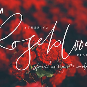 Puede incluir: Un logotipo blanco en letra cursiva sobre un fondo de rosas rojas. El logotipo dice "Rosebloom Florista especializado en bodas".