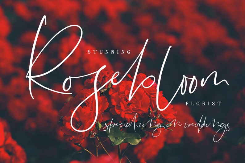 Puede incluir: Un logotipo blanco en letra cursiva sobre un fondo de rosas rojas. El logotipo dice "Rosebloom Florista especializado en bodas".