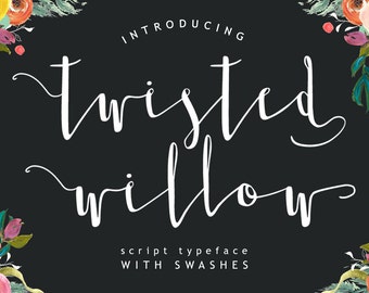 Twisted Willow Type font - Script typeface with swashes and stylistic alternates