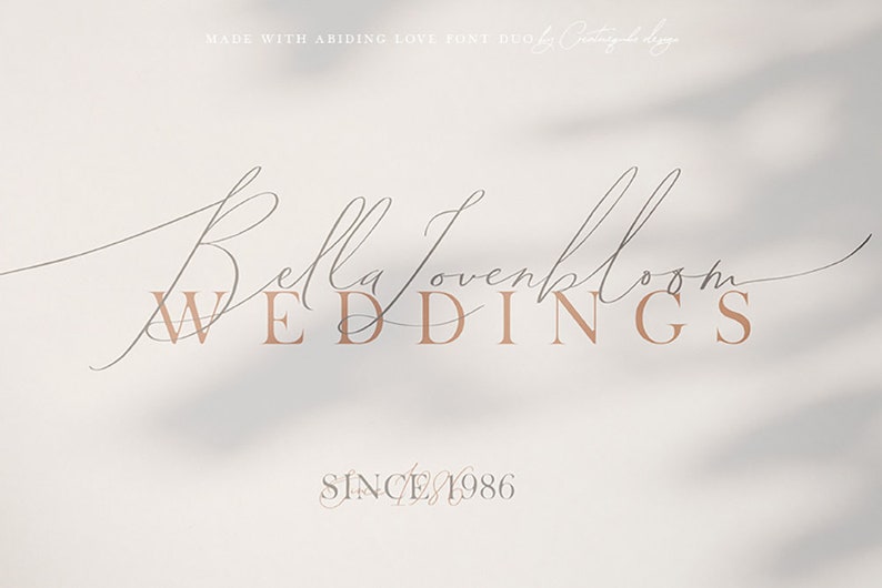 Modern Calligraphy Font Signature Style Digital Font Wedding Font Invitation Script Digital Download Abiding Love Script & Serif image 8