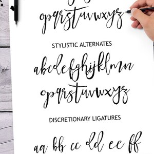 Calligraphy Font, Modern Calligraphy, Digital Fonts, Wedding Font, Invitation Font, Script Font, Digital Download, Tropical Nights image 2