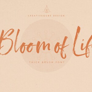 Calligraphy Font, Modern Calligraphy, Digital Fonts, Wedding Font, Invitation Font, Script Font, Digital Download, Bloom of Life