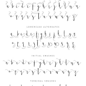 Twisted Willow Type Font - Script Typeface With Swashes and Stylistic ...