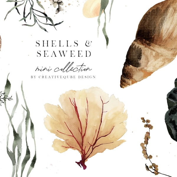 Seaweed Clip Art - Etsy