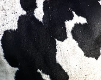 Cow Print Wall Art – Black & White Animal Pattern Photo, Farmhouse Digital Download, Modern Rustic Decor