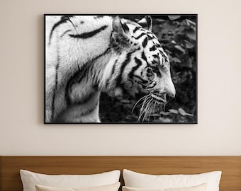 White Tiger Portrait Photography Print: Black and White Wildlife Decor (Digital Download)