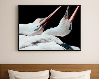 Minimalist Stork Wall Art | Black Background Wildlife Photography | Elegant Bird Printable | Digital Download | Nature Decor Print 16:9
