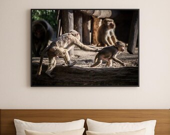 Funny Monkey Photography – Playful Moment in Nature – Digital Animal Print for Wall Art – Nature Lover Gift – Instant Download