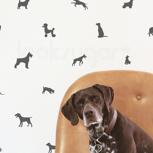 Puppy Dog Stickers . Dog Wall Stickers . Doggie Decals . Puppy Etsy