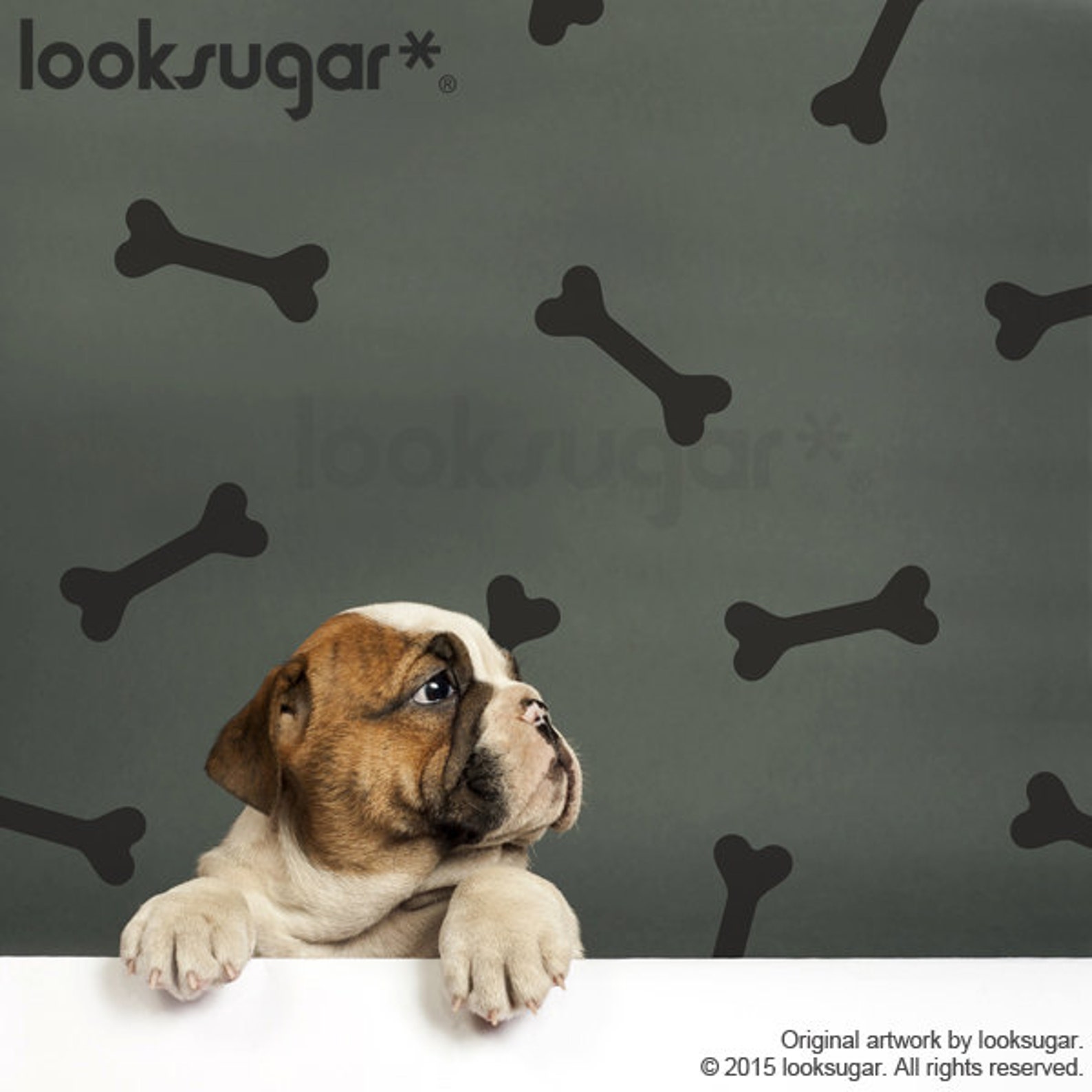 Dog Bone Wall Decals . Removable Wall Decal . Half Circle Wall Etsy