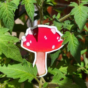 Sticker champignon amanite magique, art fantaisiste de champignons, sticker nature et botanique, champignons toxiques, champignons toxiques, basidiomycètes