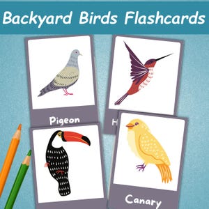 20 Backyard Birds Printable Flashcards | Toddler Flash Cards | Toddler Birds Learning Material | Printable Flashcards For Kids | 3 part card