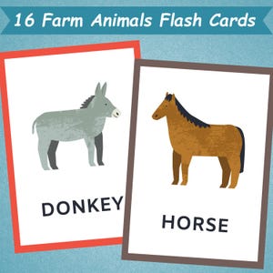 16 Farm Animals Flash Cards | Animal Learning Cards | Farm Animals Cards for Kids | Toddler Flash Cards | Preschool Educational Resource |