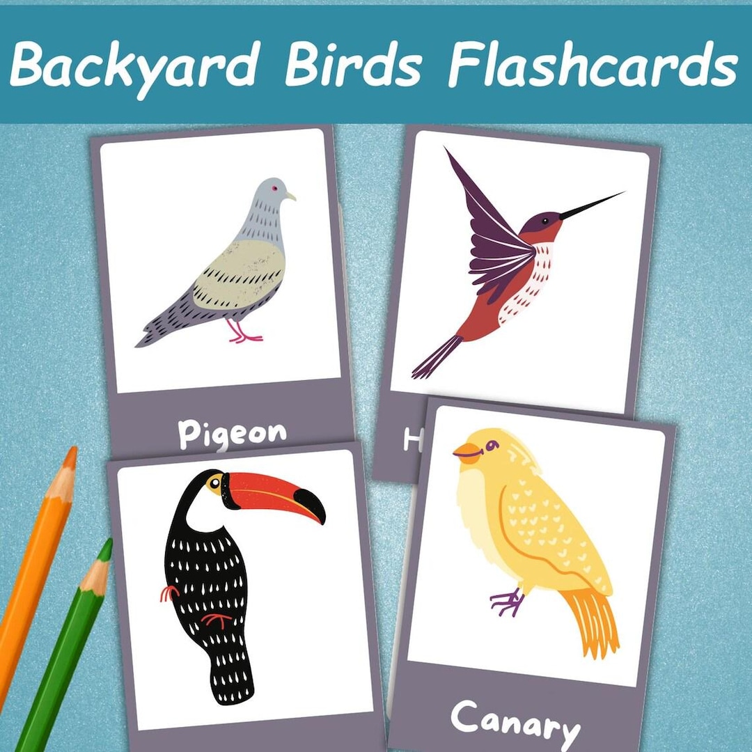 Backyard Birds Toddler Flash Cards | Bird Identification Flashcards for ...
