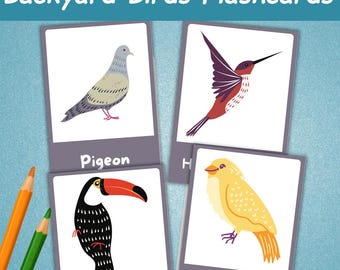 Backyard Birds Toddler Flash Cards | Bird Identification Flashcards For Kids | Nature Study Learning Materials | Homeschool Resource