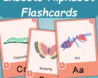 26 Alphabet Flashcards For Kids | Toddler ABC Flashcards | Insect Flashcards | ABC Learning Montessori Cards | Preschool Early Learning