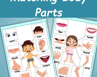 Body Parts Matching Activity | Human Anatomy Matching Game | Human Body Parts Learning | Toddler Busy Book Pages | Home Schooling Activities