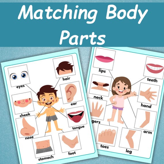 Every Body Math Human Body Maths Activities