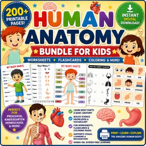 May include: A digital educational bundle titled Human Anatomy Bundle for Kids featuring 200 plus printable pages including worksheets, flashcards, and coloring activities. The design displays cartoon children, anatomical organs, and body part diagrams.