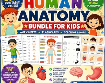 200+ Human Anatomy Bundle for Kids | Printable Body Parts Worksheets & Flashcards | Homeschool Science | Preschool Curriculum\