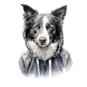 Border Collie wearing a Hoodie Sublimation Print Ready to Press