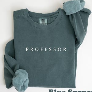 Comfort Colors Professor T-Shirt College Professor Shirt Tee Gift for Nurse PhD Doctorate Shirt Teacher Gift Sweatshirt Crewneck Minimalist