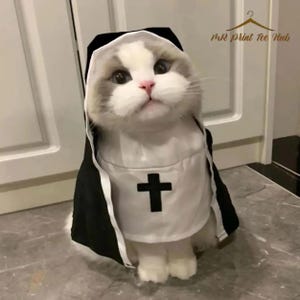 以下が含まれることがあります： 黒いベールと黒い十字架が付いた白いチュニックを着た、尼僧の衣装を着たふわふわの猫。猫は青い目をし、ピンクの鼻をしています。画像には「MR Print Tee Hub」というテキストが含まれています。