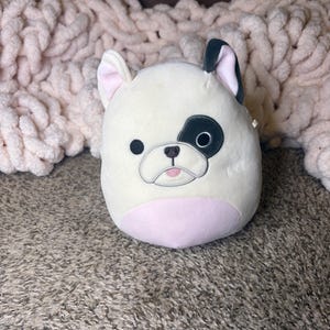 Squishmallow Sebi Pitbull 8 inch