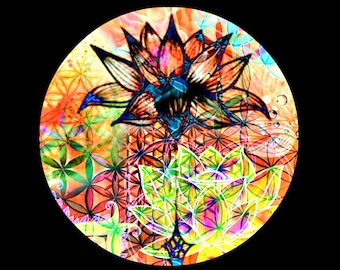 LUCIDITY Hula Hoop Bag - Reiserucksack für Klappreifen!