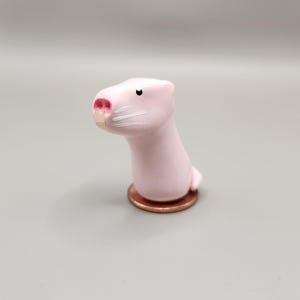 Bitty Naked Mole Rat