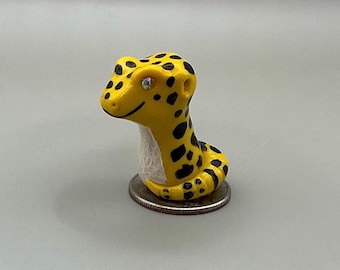 Gecko leopardo pequeño